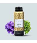 Aroma Oil HS Hilton - Spanish Fragrance